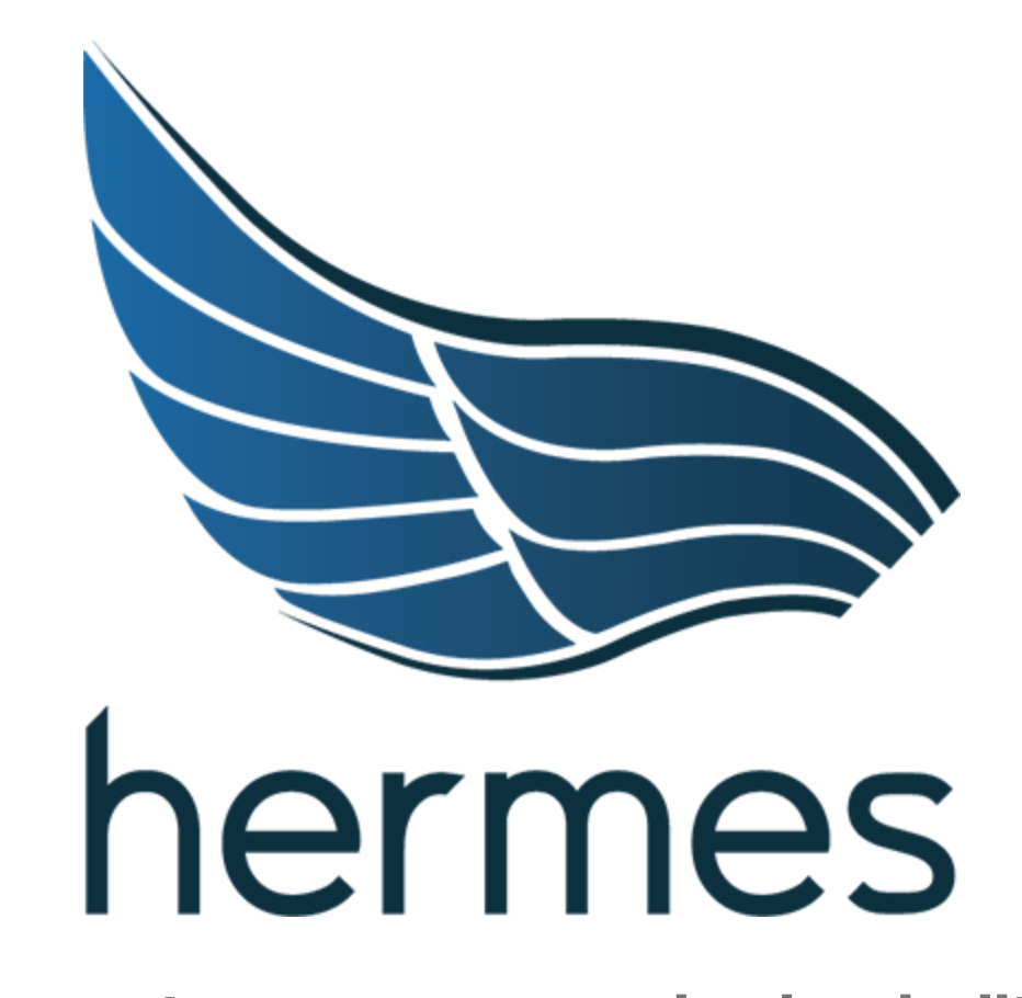 Z81C1 - Hermes Automobile | Management & Entrepreneurship Department